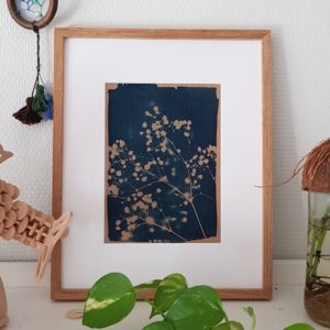 Cyanotype gypsophile I