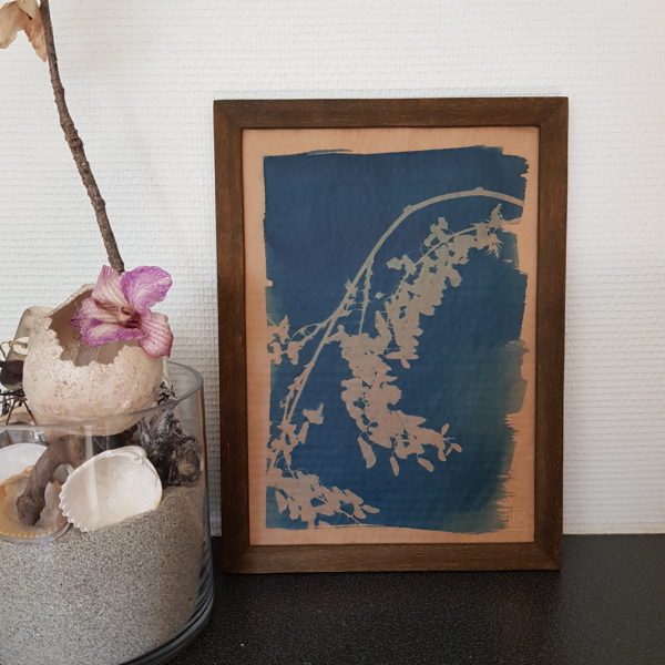 Cyanotype - Fleur de Glycine II
