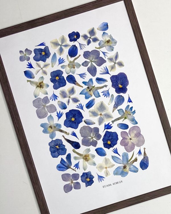 Herbier Monochrome Bleu