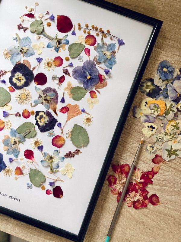 Herbier Multicolore