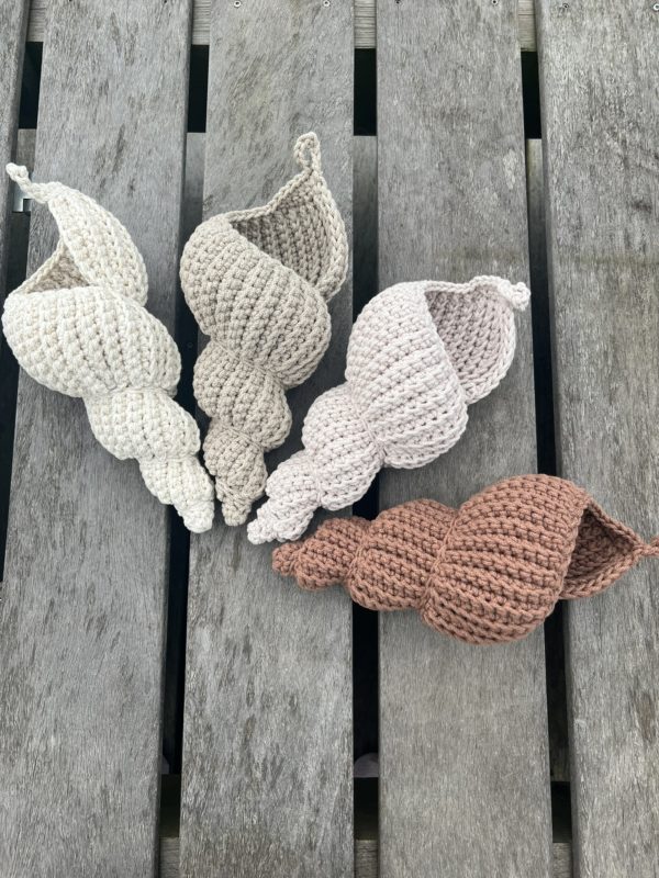COQUILLAGE l'appel de l'océan – Image 2