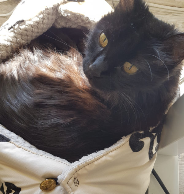 Couffin confort pour CHAT – Image 4