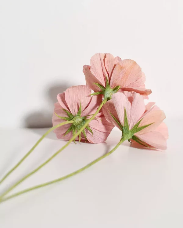 Trio Rosé – Œillets en papier – Image 6