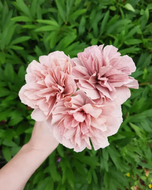 Trio Rosé – Œillets en papier – Image 2